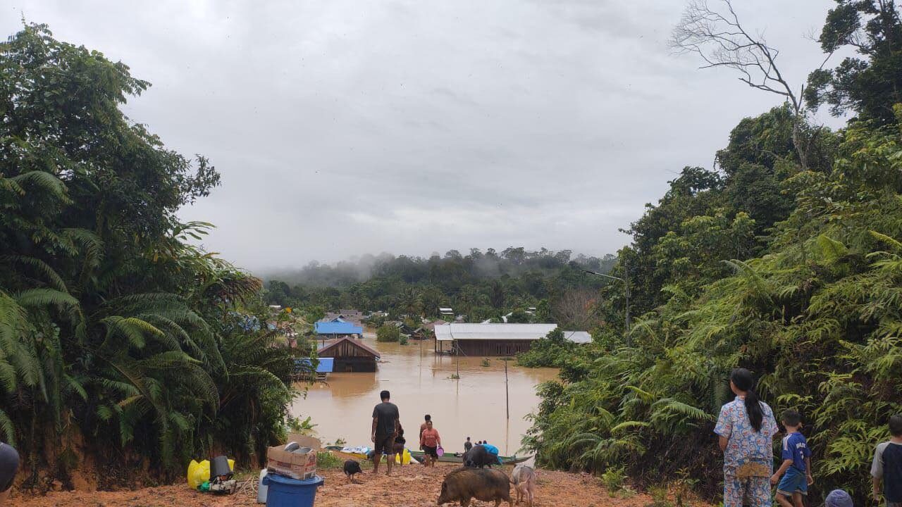 Kondisi rumah warga di Kecamatan Segah yang terendam akibat banjir beberapa waktu lalu. (Sulaiman/BT)