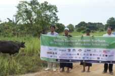 Wujud Syukur dan Kebersamaan, Berau Coal dan Mitra Kerja Salurkan Hewan Kurban ke Kampung Lingkar Tambang
