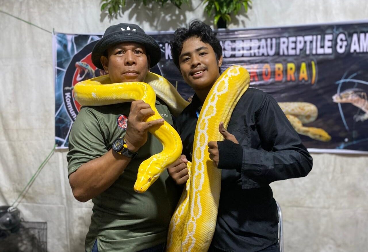 Pengunjung berfoto bersama dengan reptil yang telah jinak. (Sulaiman/BT)