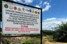 Plang penertiban lahan Satgas PKH di kawasan Hutan Tanaman Industri di Kampung Tepian Buah, Kecamatan Segah, Senin (16/6/2025).