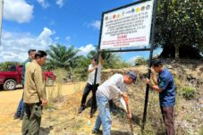 Kebun Sawit Ilegal di Hutan Tanaman Industri Tepian Buah Diduga Dikelola Warga, Perusahaan ISPO Bisa Kena Imbasnya