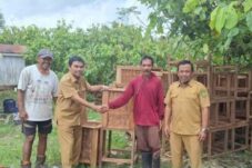 (Ilustrasi) Serah terima bantuan kotak fermentasi kakao untuk kelompok tani Kampung Suaran oleh Dinas Perkebunan Berau.
