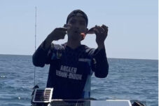 Tangkapan layar nelayan Biduk-Biduk menunjukkan ikan mati yang diduga karena alat tangkap menggunakan bahan peledak.