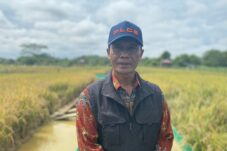 Petugas Fungsional Pengendali Organisme Pengganggu Tumbuhan (POPT) DTPHP, Bambang Sujatmiko.