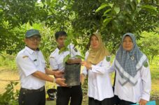 Pemberian bibit cabai kepada kelurahan oleh Dinas Pangan Berau.