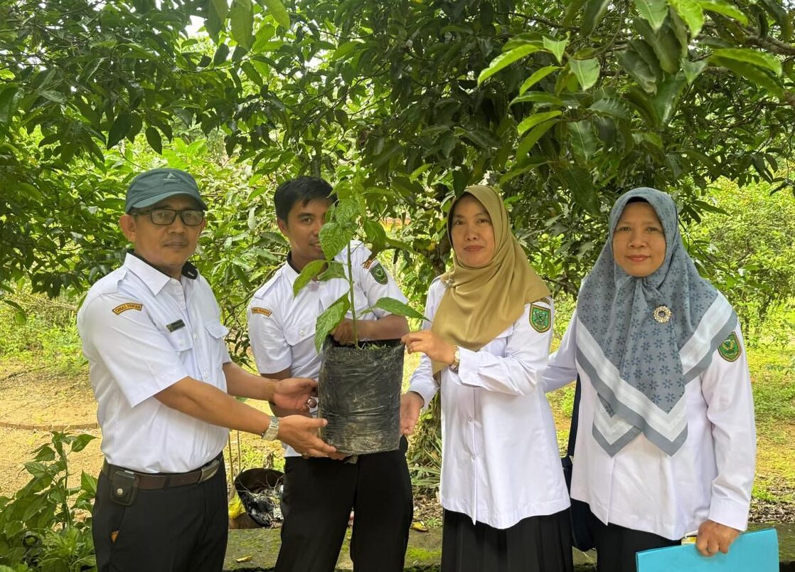 Pemberian bibit cabai kepada kelurahan oleh Dinas Pangan Berau.