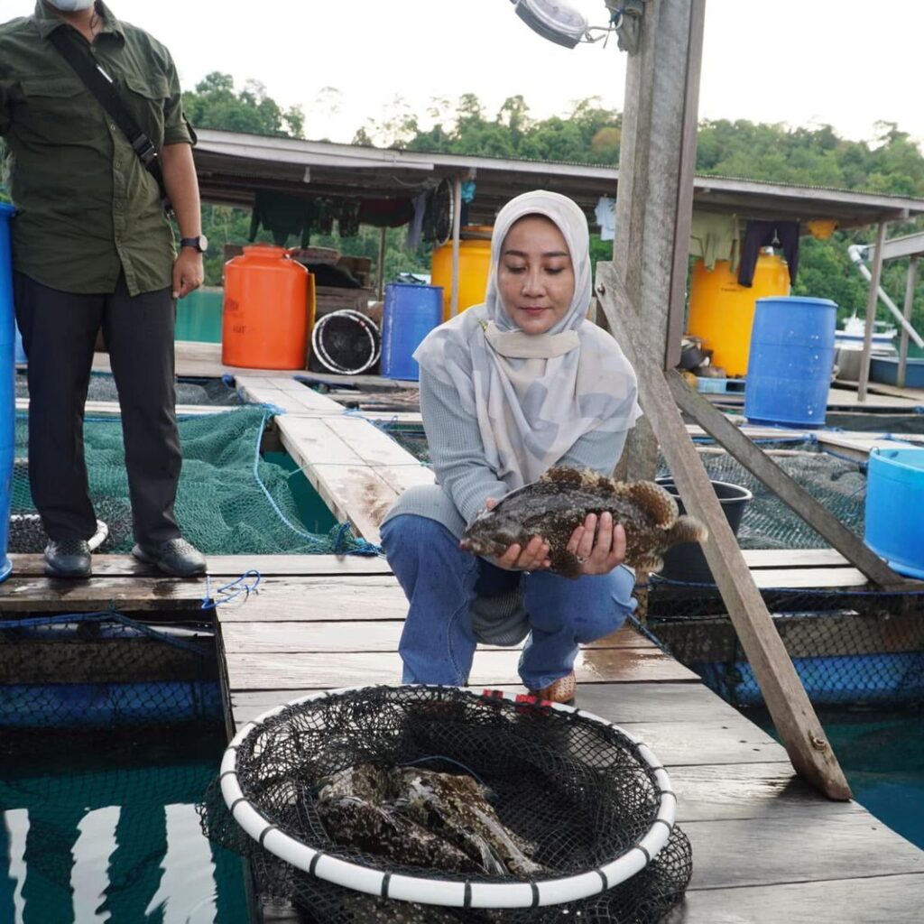 Bupati Berau, Sri Juniarsih, saat meninjau lokasi budidaya kerapu di Pulau Maratua.