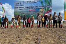 Pemkab Berau sedang melakukan penanaman benih jagung komposit