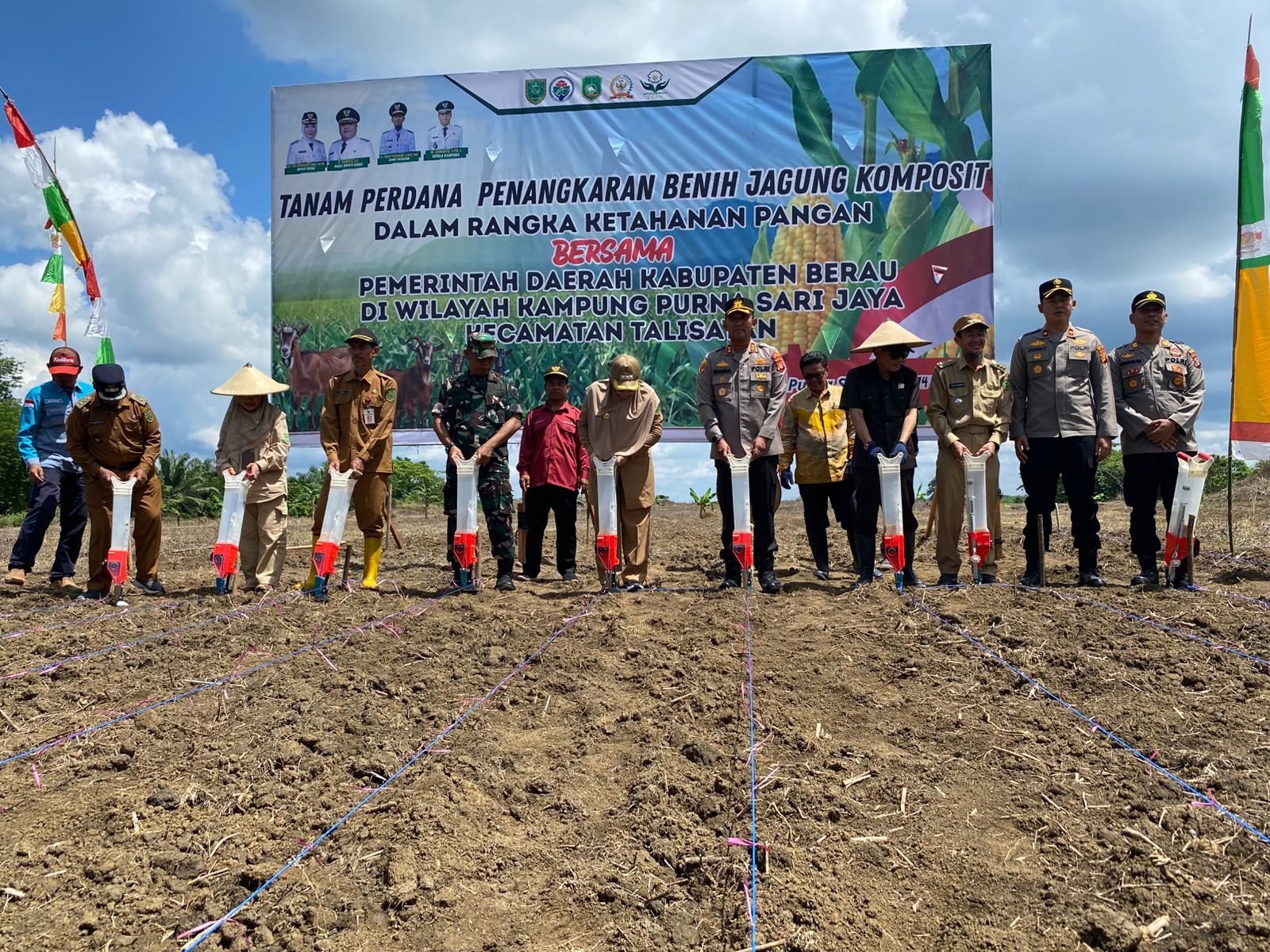 Pemkab Berau sedang melakukan penanaman benih jagung komposit