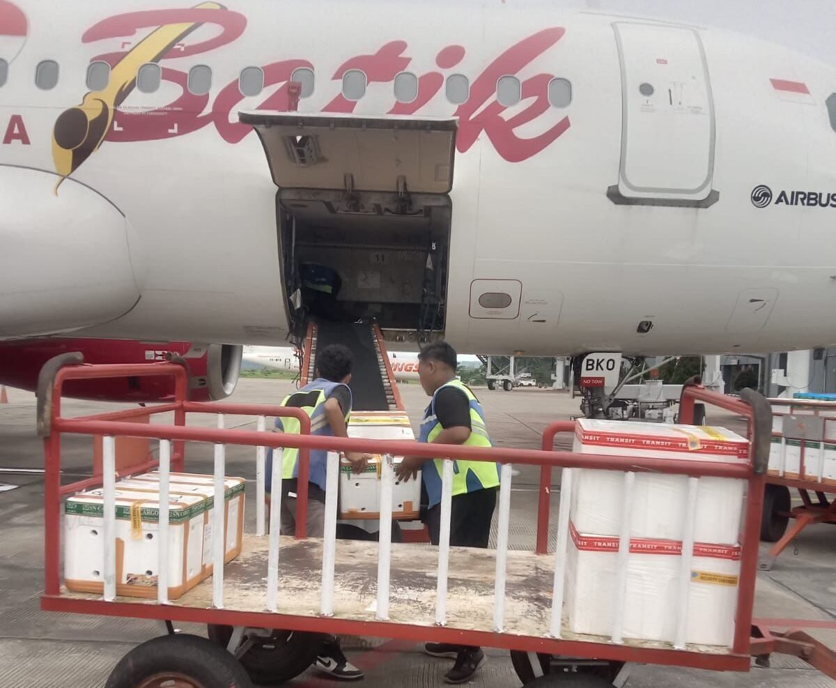Petugas memasukkan hasil laut ke bagasi pesawat milik maskapai Batik Air di Bandara Kalimarau. (Istimewa)