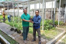Kasi PKSDA dan Pemberdayaan Masyarakat KPHP Berau Barat, Edhuwin, saat memberikan bibit tanaman bagi masyarakat umum. (Istimewa)