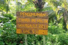 Lahan sawit Yayasan Al-Itisham diklaim sepihak salah seorang warga di Kampung Biatan Ilir, Kecamatan Biatan.