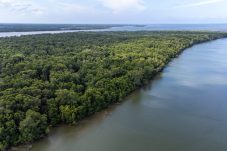 Demi Ketahanan Pangan, Pemprov Bakal Sulap 1.500 Hektare Lahan Delta Mahakam Jadi Sawah Produktif Baru