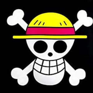 Bendera One Piece