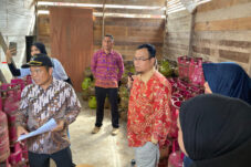 Diskoperindag Berau melakukan sidak di agen dan pangkalan gas melon