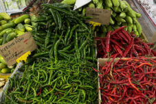 Harga Cabai di Berau Fluktuatif, Dinas Pangan: Cuaca Tak Menentu Bikin Pasokan Tak Konsisten