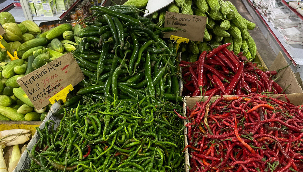 Harga Cabai di Berau Fluktuatif, Dinas Pangan: Cuaca Tak Menentu Bikin Pasokan Tak Konsisten