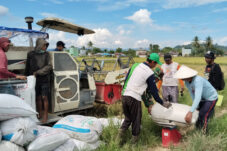 Jaga Stabilitas Pangan, Bulog Berau Serap 1.000 Ton Beras Lokal