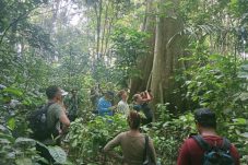Mengenal Hutan Lindung Lesan Dayak, Surga Hijau di Berau Kalimantan Timur