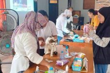 Cegah Rabies dan Penyakit Menular, DTPHP Ajak Warga Berau Vaksinasi Hewan Peliharaan