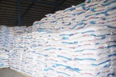 Jangan Sampai Rugikan Petani, Suriansyah Minta Pemkab Berau Perhatikan Distribusi Pupuk