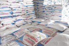 Baru 39,45 Persen Pupuk Subsidi Tersalur ke Petani, DTPHP Berau Ungkap Penyebabnya