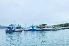 Layanan Gerai Perizinan Kapal Nelayan Ditunda, Diskan Berau Ungkap Alasannya