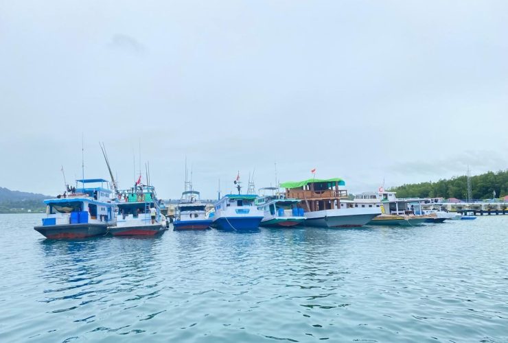 Program KNMP Jadi Harapan Baru Ekonomi Pesisir, Pemkab Berau Diminta Bergerak Cepat