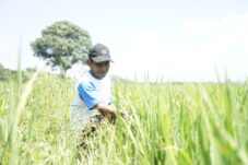 Suyatno saat berada di tengah sawahnya di Kampung Gurimbang.