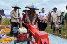 Direktur Utama PT HSB, Robi Maula, bersama para stakeholder saat panen jagung perdana di Kampung Batu Rajang, Segah. (Sulaiman/BT)