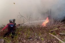 Kebakaran hutan dan lahan (Karhutla) yang terjadi beberapa waktu lalu di Kabupaten Berau.