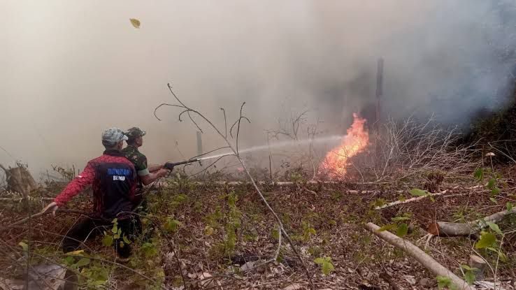 Kebakaran hutan dan lahan (Karhutla) yang terjadi beberapa waktu lalu di Kabupaten Berau.