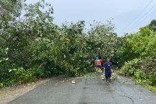 Kondisi jalan di RW 6 Kampung Tembudan yang tertutup pohon tumbang usai badai angin kencang Sabtu (16/8/2025) sekitar pukul 13.20 WITA.
