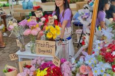 Owner darigemini.project, Meidita Putri Satriani