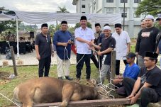 Perkuat Iman dan Persaudaraan, Sekretariat DPRD Kaltim Gelar Sholat Ied dan Penyembelihan Kurban