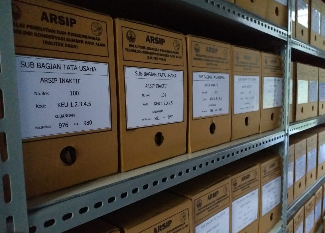 Jaga Sejarah dan Identitas Daerah, Dispusip Berau Gencarkan Program Penataan Arsip