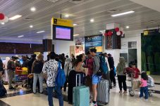 Tiket ke Berau Mahal, Disbudpar Ingin Turis Berkesan Saat Liburan