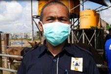 Belum Kantongi Sertifikasi Halal dari BPJPH, Rumah Potong Hewan Berau Ungkap Kendalanya