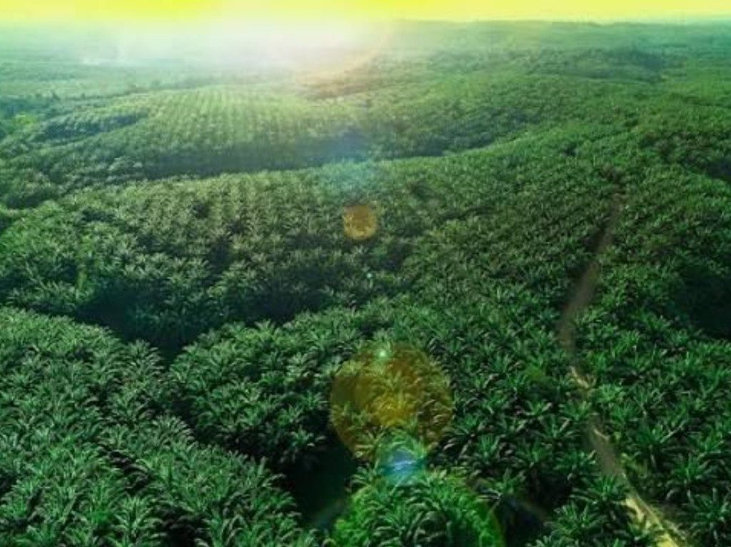 Teladan Prima Agro (teladanprima.com)