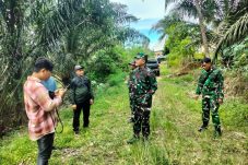 TMMD ke-126 Segera Digelar di Kampung Labanan Makmur, Fokus Bangun Infrastruktur dan Ketahanan Pangan