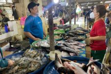 BPS Berau: Inflasi November Capai 2,76 Persen, Masih Didominasi Kenaikan Harga Ikan Layang