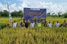 Wujud Komitmen PAMA, Program Pendampingan Petani di Kampung Gurimbang Berbuah Panen Melimpah