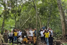 Putusan MK Bolehkan Masyarakat Gunakan Kawasan Hutan, Asal Tidak untuk Tujuan Komersial