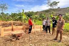 Kelurahan Gunung Tabur Berau Rencanakan Tanam Kakao, Siapkan Pupuk Kompos Skala Besar