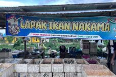 Harga Ikan di Labanan Berau Turun, Warga Senang Bisa Beli Lebih Banyak
