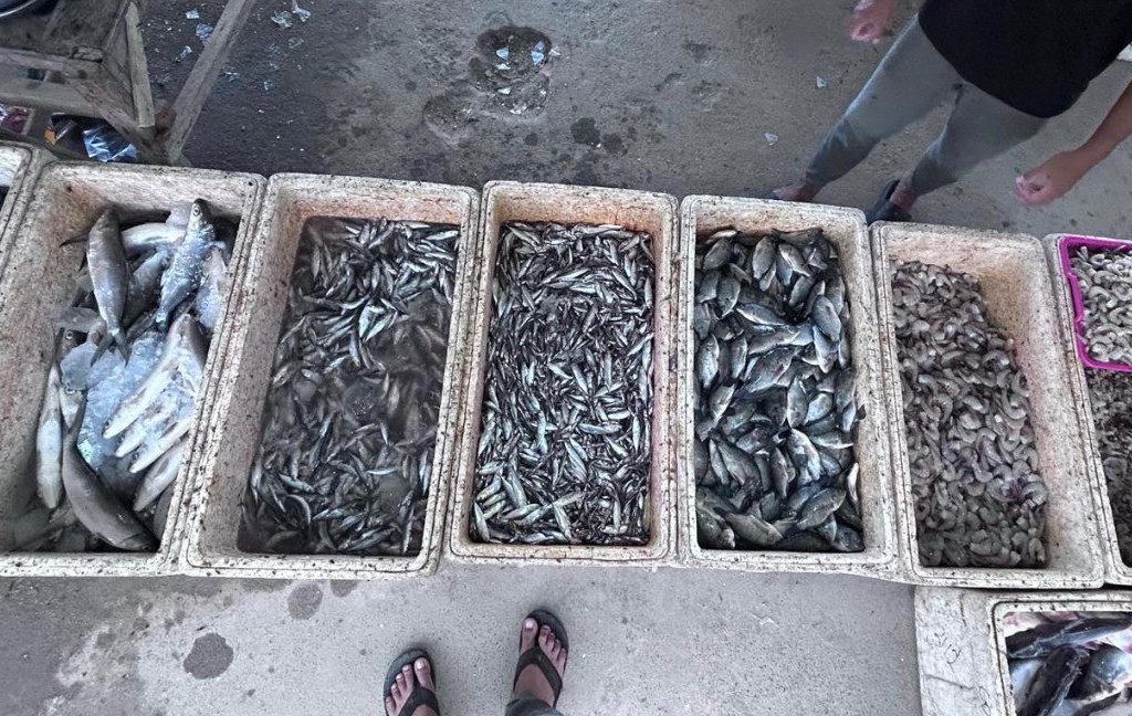 Pedagang ikan di Pasar Ikan Labanan, Teluk Bayur, Berau (Dini Diva Aprilia/BT)