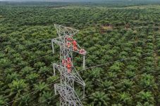 PLN Dorong Interkoneksi ASEAN Power Grid untuk Akselerasi Transisi Energi Bersih