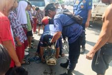 Buaya Kurus Masuk Permukiman Warga, Damkar Gerak Cepat Lakukan Evakuasi