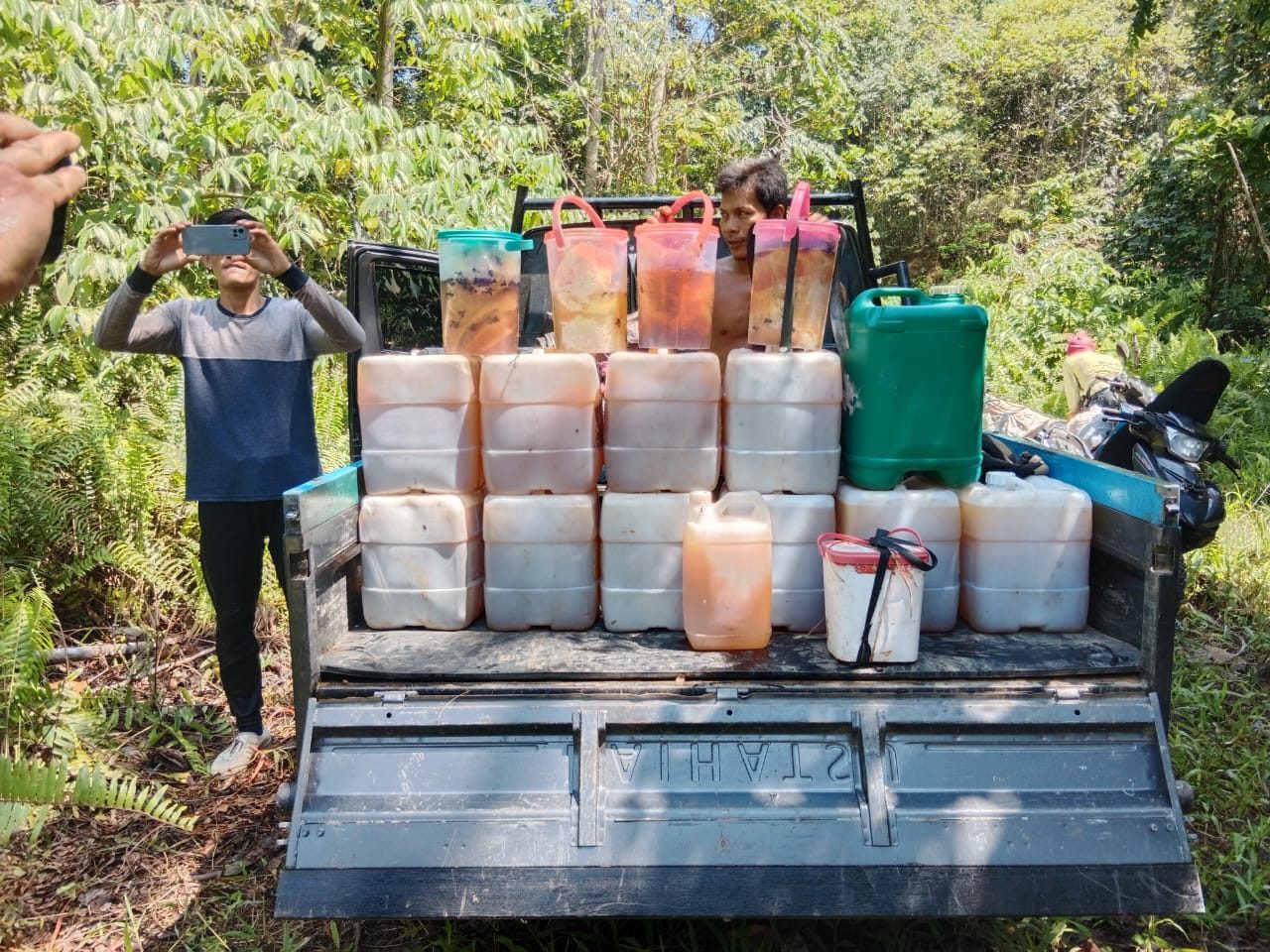 Cerita Panen Madu di Kampung Merasa: Aroma Manis yang Penuh Risiko, Sekali Panjat Hasilkan Ratusan Liter