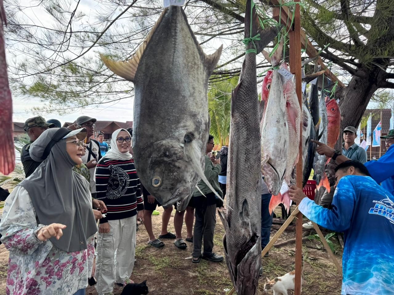Pesta di Laut Derawan, Tunus FC Sabet Juara Umum Berau Fishing Tournament Bupati Cup 2025